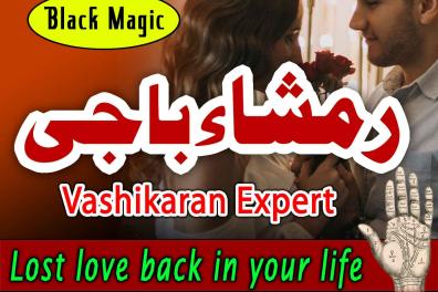 services_propositions_d_affaires Black Magic Expert i  
